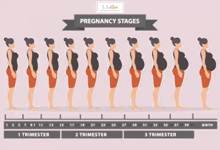 First Trimester (Weeks 1–12): Early Changes You Might Not Notice Bedfordshire